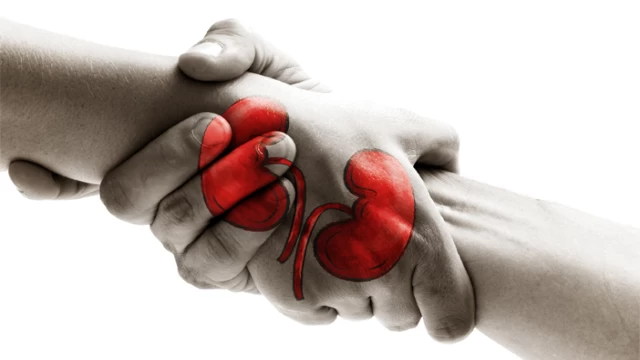 Organ Bağışı hayat kurtarıyor