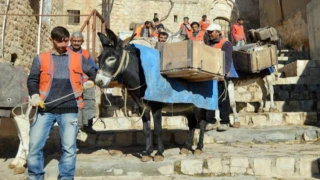 Mardin’in simgesi ’Çöp Eşeklerin’ görevleri sona eriyor